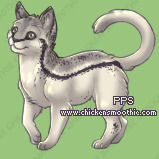 Pet