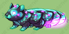 Pet