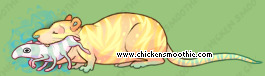 Pet