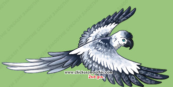 Pet