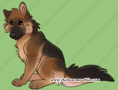 Pet