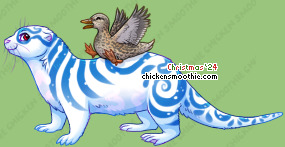 Pet