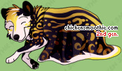 Pet