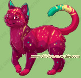 Pet