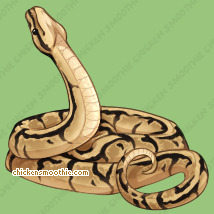 Pet