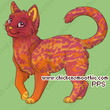 Pet