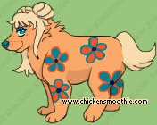 Pet