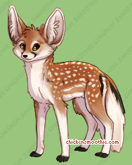 Pet