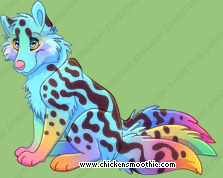 Pet