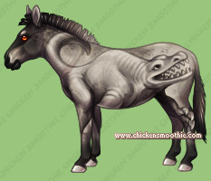 Pet