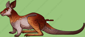 Pet