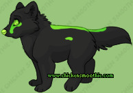 Pet