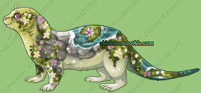 Pet