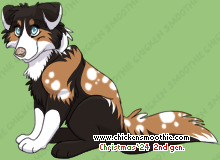 Pet