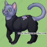 Pet