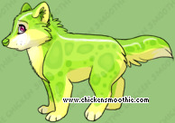 Pet