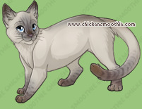 Pet