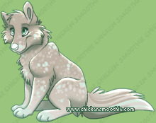 Pet