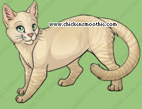 Pet