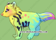 Pet