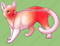 Pet