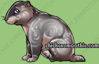 Pet