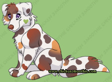 Pet