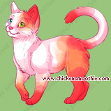 Pet