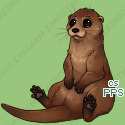 Pet