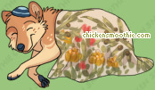 Pet