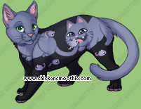 Pet