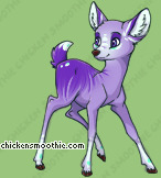 Pet