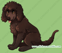 Pet