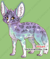 Pet