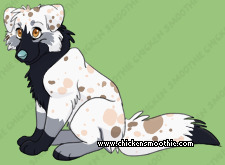Pet