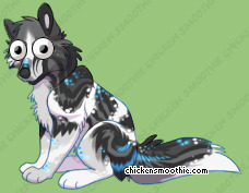 Pet