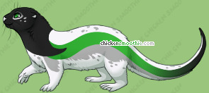 Pet