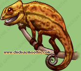 Pet