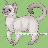 Pet