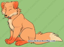 Pet