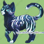Pet