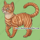 Pet
