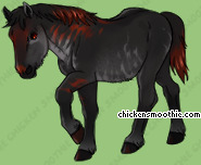 Pet