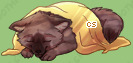 Pet