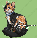 Pet