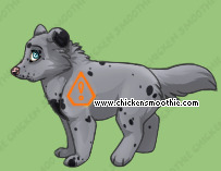 Pet