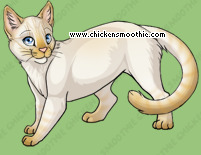 Pet