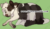 Pet