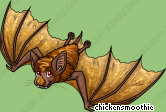 Pet