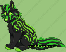 Pet